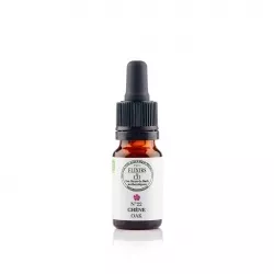 22 – OAK « Chêne » (Quercus robur) 20ml – Image 5