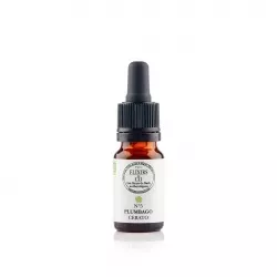 05 – CERATO « Plumbago » (Ceratostigma willmottiana) 20ml – Image 4